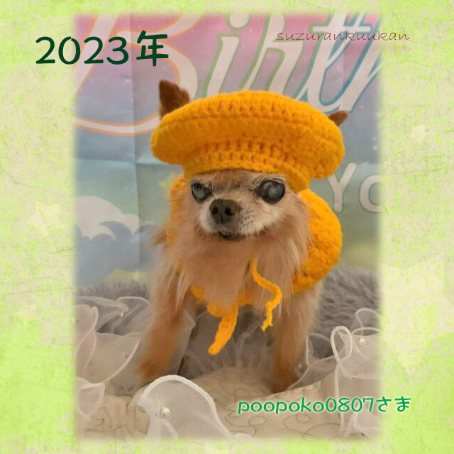 202312_tyakuyourei_iwaigiset.jpg