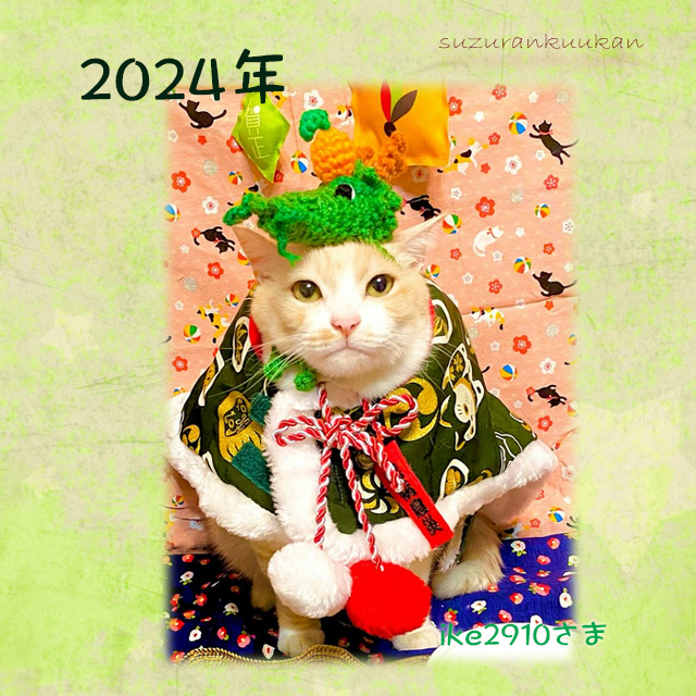 202401_tyakuyourei_zyoudankagamimoti_tatu.jpg