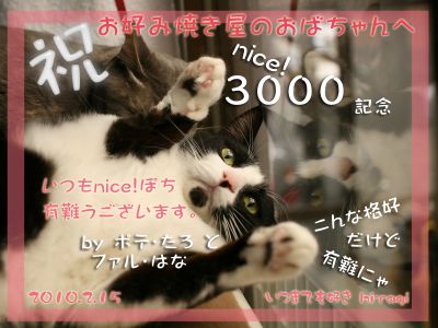 3000nice!thanks_okonomiyakiyanoobayan.jpg