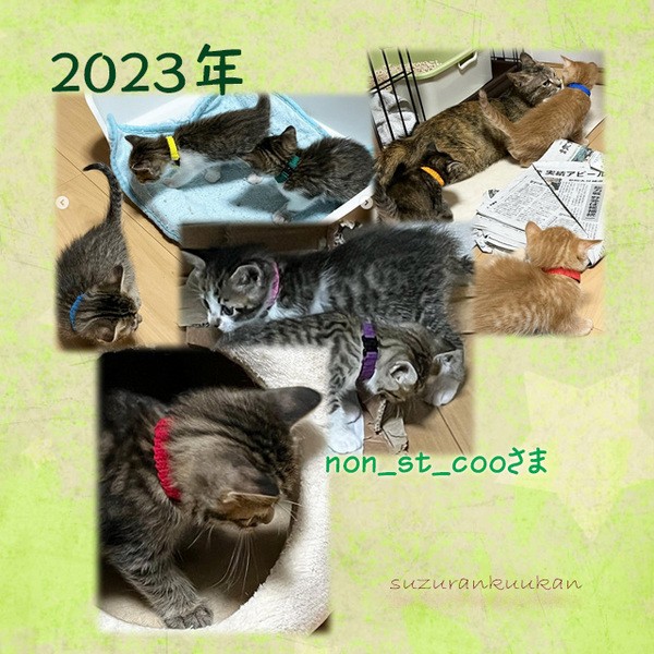 202305_tyakuyourei_amikubiwa_14_17.jpg