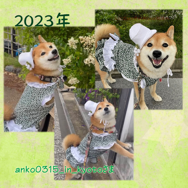 202306_tyakuyourei_sirukuhat.jpg