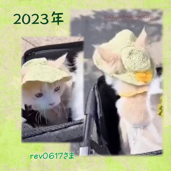 202306_tyakuyourei_surautihat.jpg