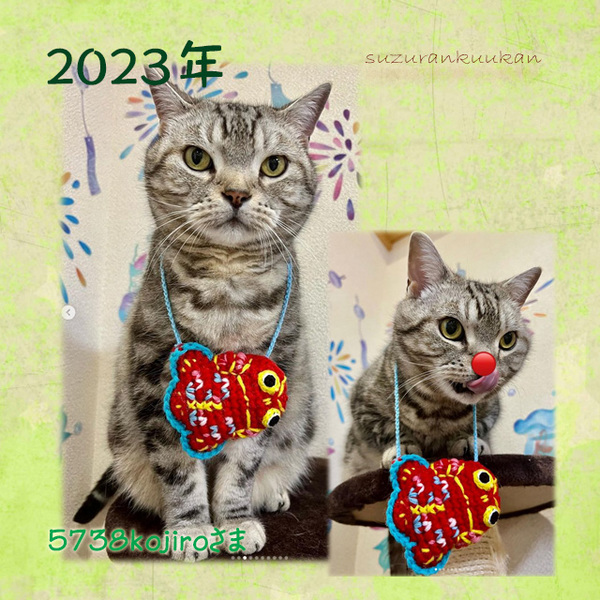 202308_tyakuyourei_burikinokingyo.jpg