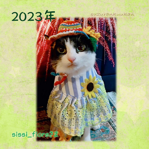 202308_tyakuyourei_samabousi2_012.jpg