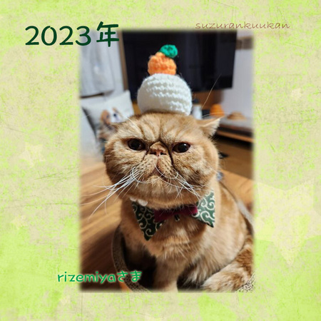 202311_tyakuyourei_amizyoudankagamimoti.jpg