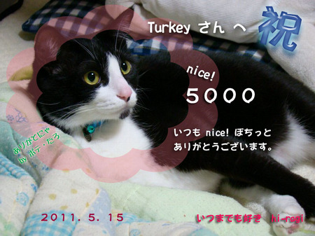 5000nice!thanks_Turkeysan.jpg