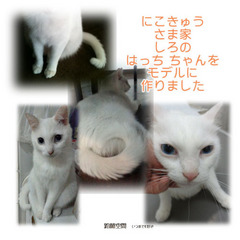 m_anikokyusama_hattityan_mihon-cbbfa.jpg